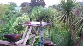 Horny kaka on the balcony