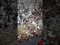 15 мая 2018 г 15 мая 2018 г