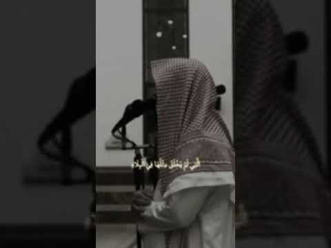 القارئ محمد اللحيدان سورة الفجر دين قرآن كريم تلاوة خاشعة 