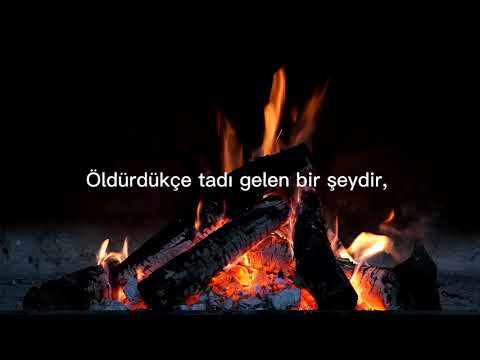 Abdurrahim Karakoç - Hayal ve Gerçek - Selman Çayrak (şiir-poetry) 2021