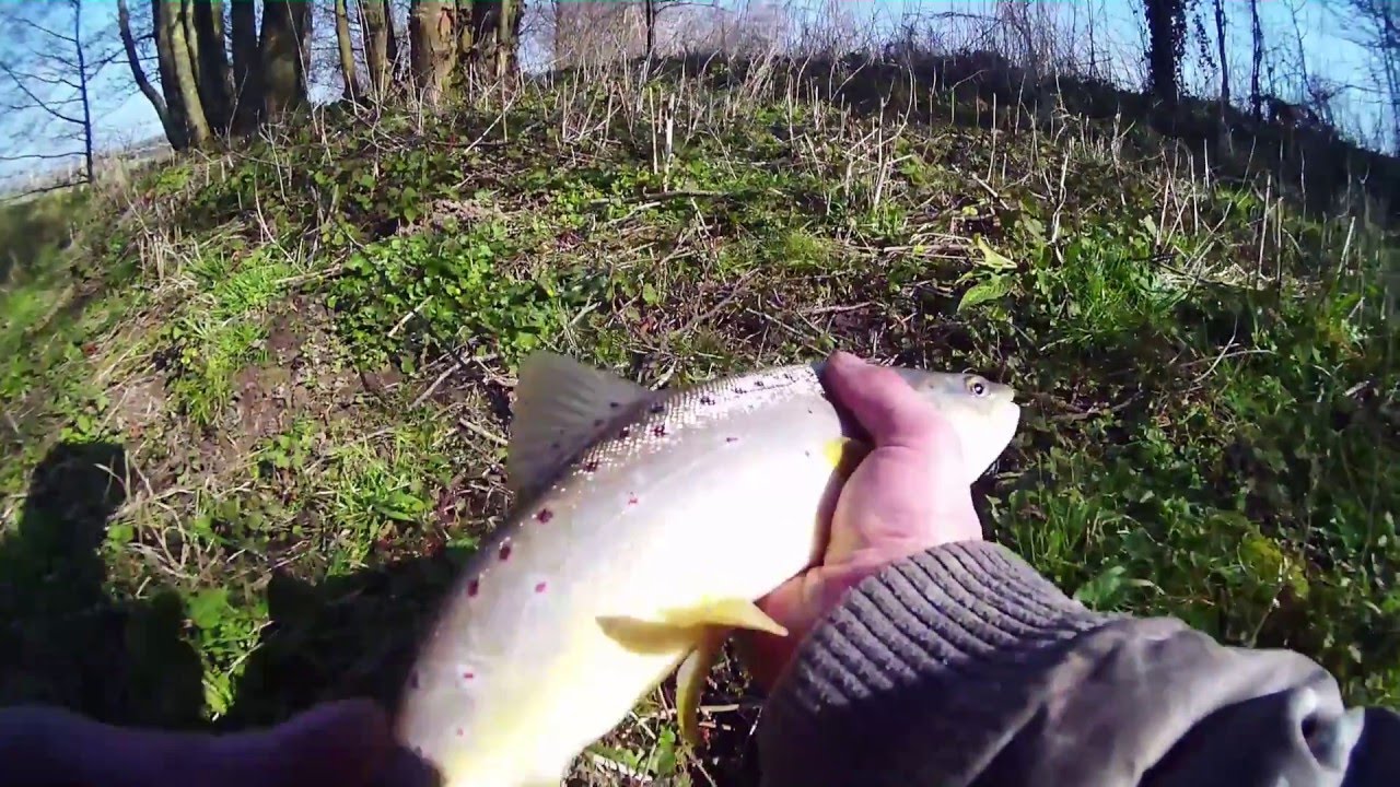 peche a truite pas de calais
