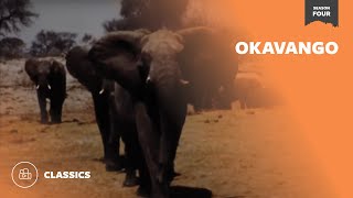 Okavango | Mutual of Omaha's Wild Kingdom