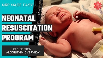 Overzicht van het Neonatale Reanimatieprogramma (NRP)-algoritme (8e editie)