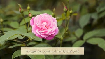 سورة التوبة الآية 4