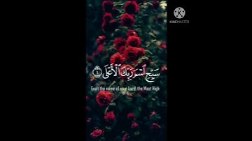 ["سَبّح إسمَ ربّكَ الأَعلَي"]💙حالات واتس قرآن كريم♥️