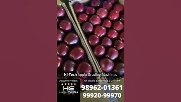 ⭐⭐⭐⭐⭐ Customer Video 2022 - 99920-99970 | Apple Grading Machines 24 inch, 32 inch