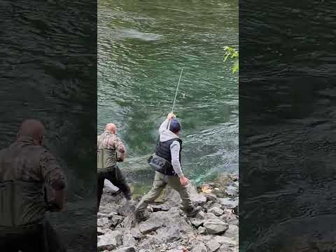 Video: Bedste Vancouver fiske- og skaldyrsrestauranter