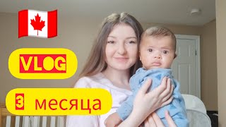 ⚡ VLOG: гуляю в Канаде🇨🇦 с детьми, сама!  Рафаэль, получил гражданство Канады!