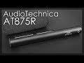 Мікрофон-гармата Audio-Technica AT875R