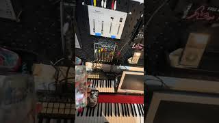 Sesh #arturia #electronicmusic #experimental #noise #synthesizer #fyp #viral #electronic #midi