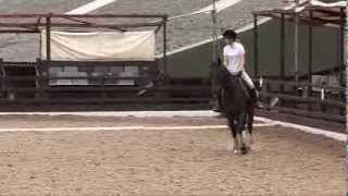 Evie And Wellington Jake