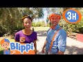 Blippi and meekah take care of the environment  moonbug  our green earth  science scavenger hunt