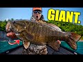 I Caught My BIGGEST Smallmouth EVER!