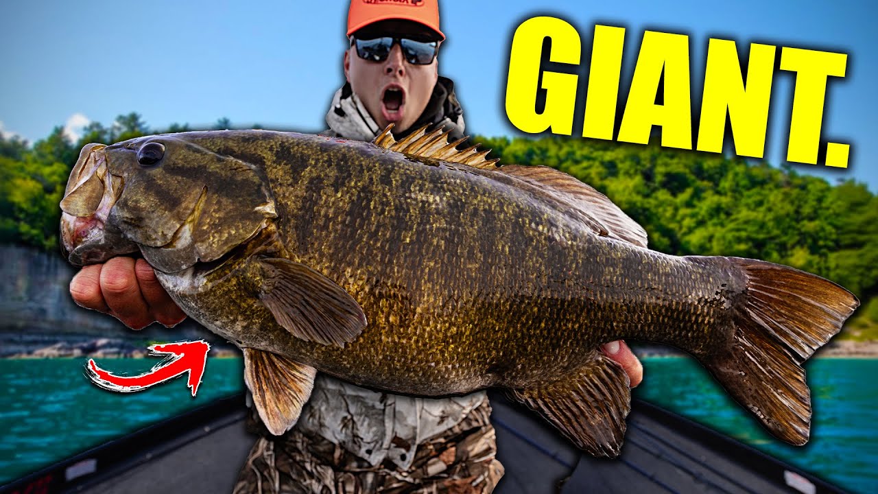 I Caught My BIGGEST Smallmouth EVER!