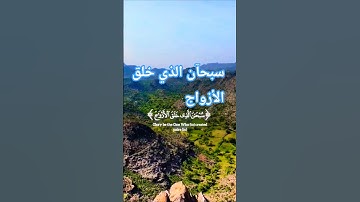 قرأن كريم تلاوة خاشعة راحة نفسية #elmulquranعلم #قران_كريم #تلاوة #المصحف #trend #اكسبلور