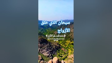 قرأن كريم تلاوة خاشعة راحة نفسية #elmulquranعلم #قران_كريم #تلاوة #المصحف #trend #اكسبلور