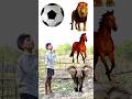 Rounding coconuts to Duck, Peacock, Pigeon &amp; Parrot - Birds names magic video#foryou#plzsupport