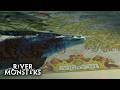 Can Jeremy Wade Catch The Legendary Loch Ness Monster? | River Monsters