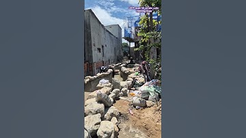 xây dựng cảnh quan hồ cá koi sân vươn