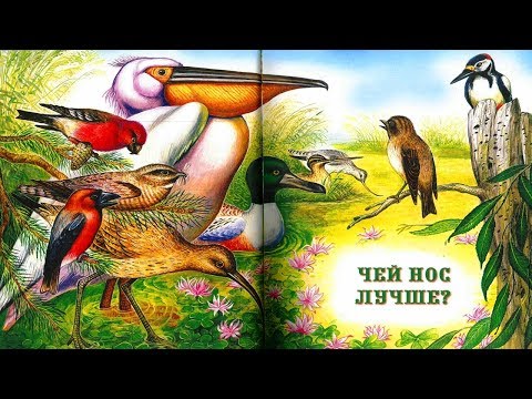 ЧЕЙ НОС ЛУЧШЕ? | Виталий Бианки | аудио сказка | Аудиосказки | Сказки на ночь |Слушать сказки онлайн