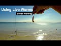 Using LIVE WORMS, Better Fishing. Wayne Groomes