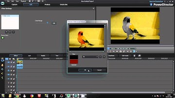 How To Make The Pleasantville Effect - CyberLink PowerDirector 10 Ultra