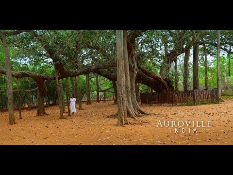 Auroville, India - Travel Vlog
