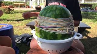 Watermelon Explosion
