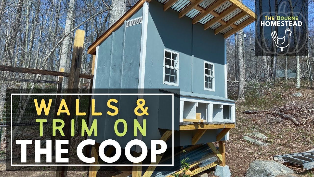CHICKEN COOP WALLS AND TRIM Building a Chicken Coop YouTube