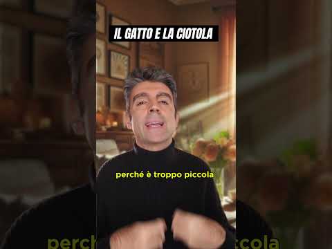 Il gatto e la ciotola