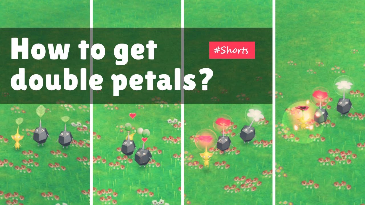 How to get double petals? Gameplay Guide Pikmin Bloom YouTube
