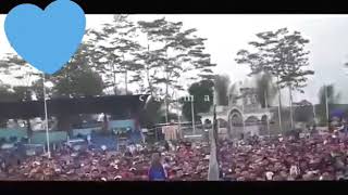 Lagu Arema fc bernada dangdut