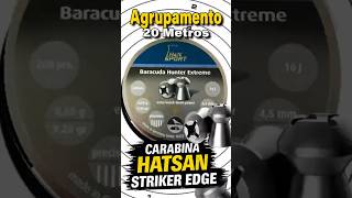Carabina Hatsan Striker Edge 5 5 Teste Baracuda Hunter Extreme HeN #chumbinho #airgun #tiroaoalvo