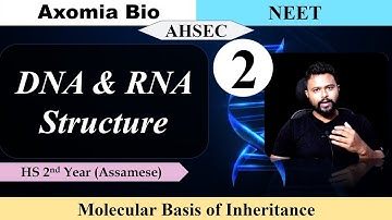Molecular basis of inheritance| Lecture 2| DNA & RNA|Structure| Genetics|Dr. Rajib Borah| Axomia Bio