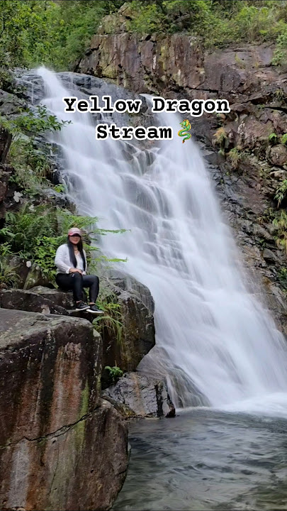 CHASING WATERFALL // WONG LUNG HAN/YELLOW DRAGON STREAM #shortvideo #nature #waterfall
