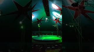 trapecio de plantas 2022 forever circus
