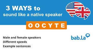 OOCYTE pronunciation | Improve your language with bab.la