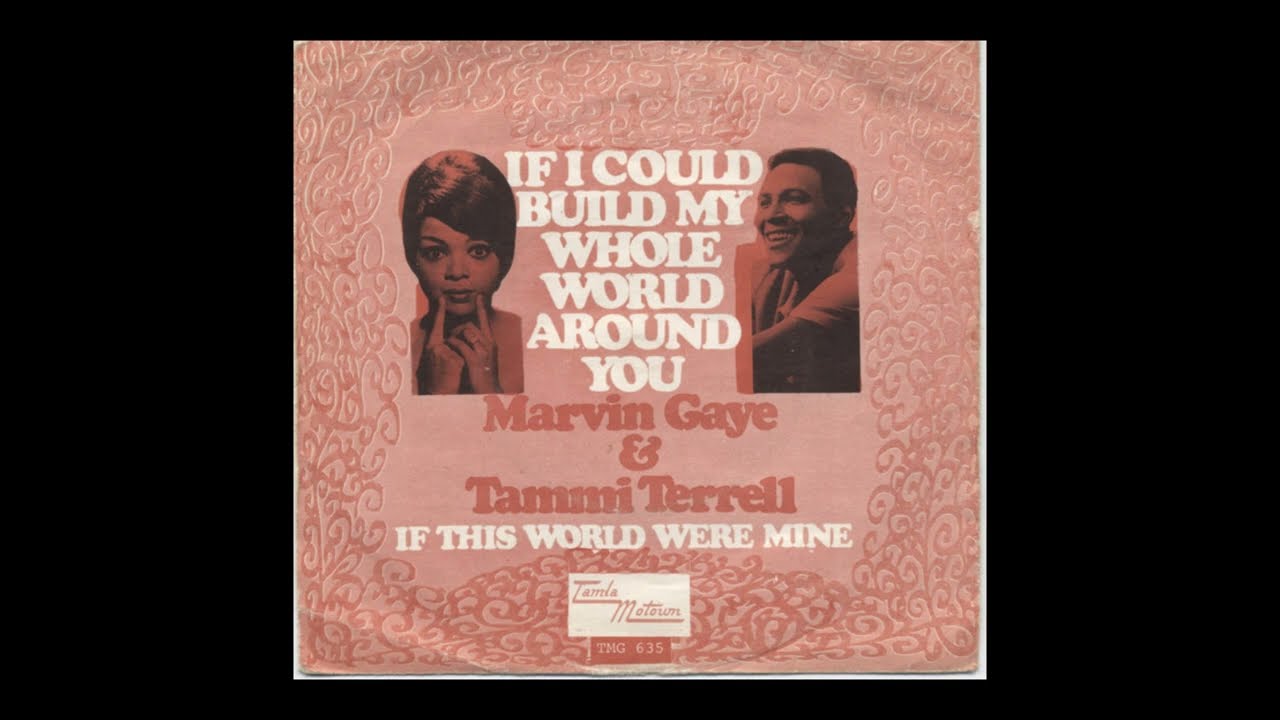 Marvin Gaye & Tammi Terrell - If This World Were Mine (Acapella
