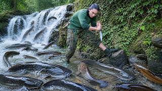 Catch all the giant stream fish, find food for the wild boar herd, survival alone, survival farm