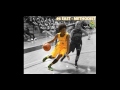 2016-17 USA South Women's Basketball Recap