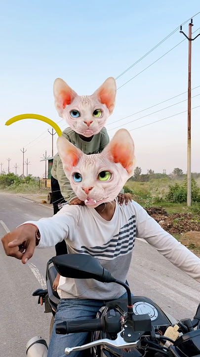 Koe mere Baccho ko bacha lo.?😢😂 #funny #shorts #youtubeshorts #comedy #cat #shortsfeed #viralvideo