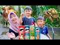 PRINGLES KARAKTER SAPI DAN KURA KURA 😱 BERENANG DI KOLAM BESAR