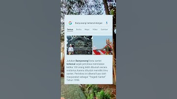 STORY WA SEBUTAN KOTA BANYUWANGI🤗