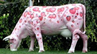 Pink Cow? - Jamie Oliver's Food Revolution, Promo Clip