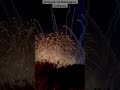 Fireworks at Disneyland, California #disney #fireworks #letitgo #disneyland