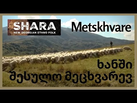 Shara - Metskhvare | შარა - ხანში შესულო მეცხვარევ