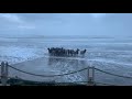 Onlookers Witness Herd of Elk Running Through Surf on Oregon Beach