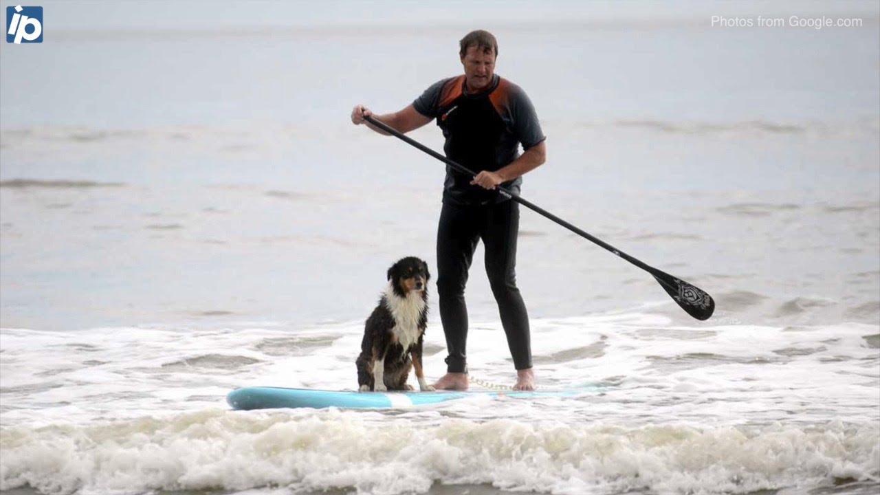 Beach rules change for Hilton Head in the offseason. Here's what is