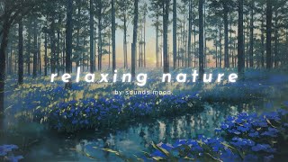 relaxing piano nature bgm 🪻🦆 - lofi ambient music to relax / sleep / focus