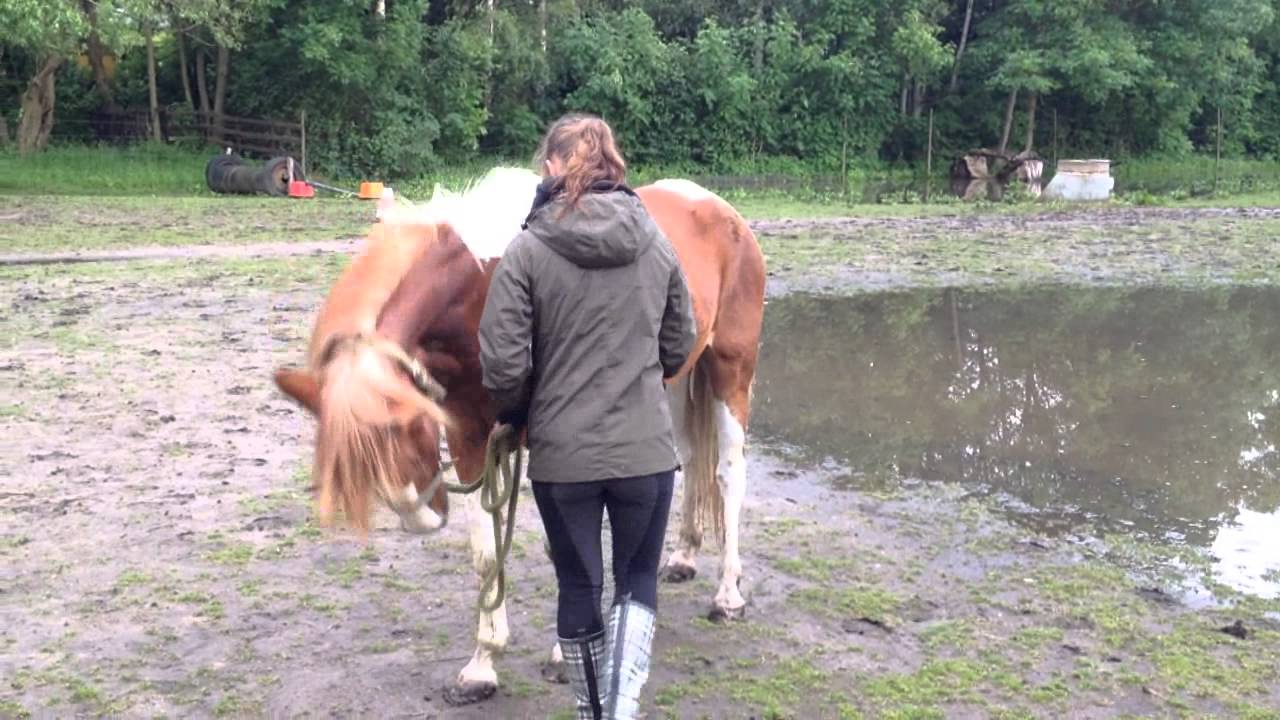Schlammreiten Schlammreiten